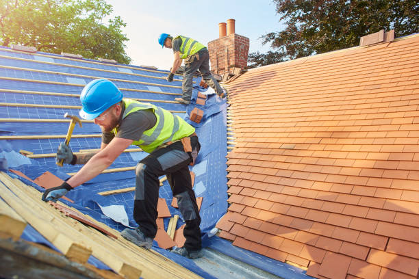 Best Solar Panel Roofing Installation  in Sour Lake, TX